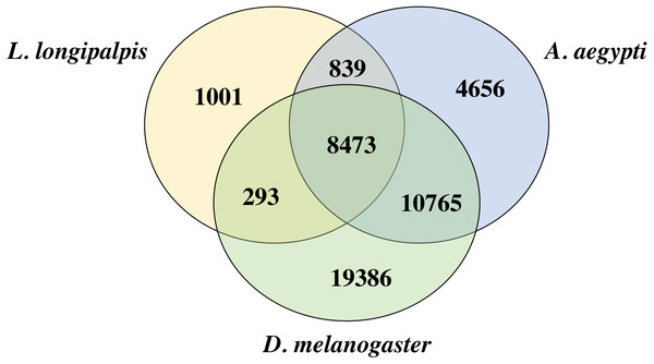 Venn diagram of L. longipalpis proteins.