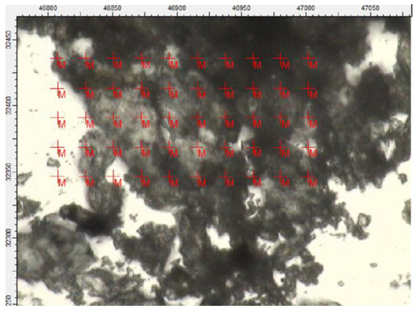 Region of the darker powder sample mapped using FTIR in transmission mode.