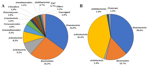 Bacterial phyla detected from A. palmatum bark.