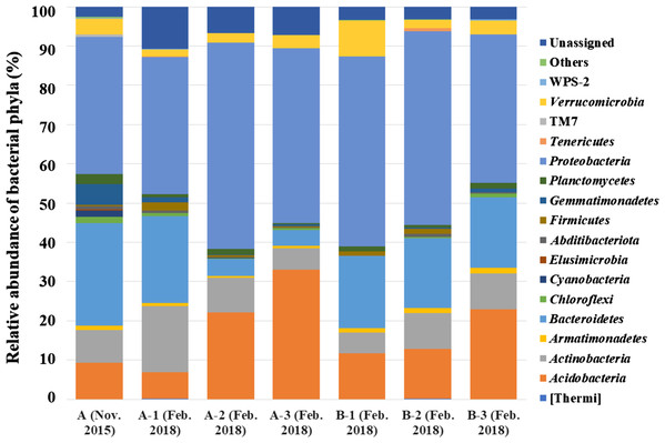 Bacterial phyla detected from seven samples collected from two A. palmatum trees.