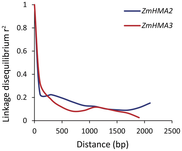 Plot of linkage disequilibrium (r2) decay against physical distance between SNPs from ZmHMA2 and ZmHMA3, respectively.