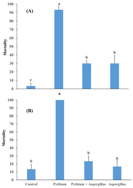 Effect of A. terreus on percent seedling mortality in cucumber inoculated with P. aphanidermatum ((A) trial 1, (B) trial 2).