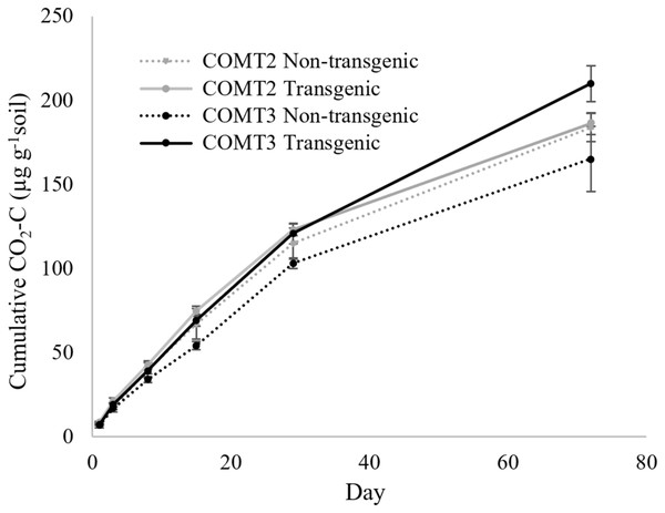 Cumulative CO2 production from transgenic and non-transgenic COMT lines.