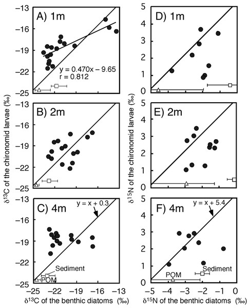 Relationships between isotope values of the chironomid larvae (Chironomus acerbiphilus) and benthic diatoms (Pinnularia acidojaponica) at each water depth.