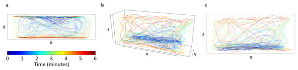 Trajectory for a single fish from a control trial.