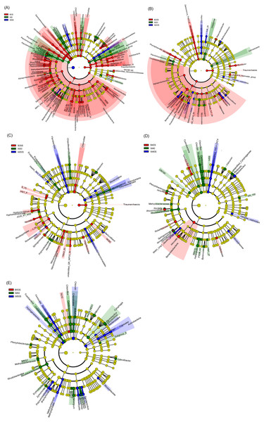 Linear discriminant analysis effect size (LEfSe) profiles showing the significant differences in microbiota among pond water and artificial substratum samples.