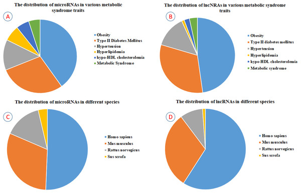 The statistics of ncRNAs contained in the ncRNA2MetS database.