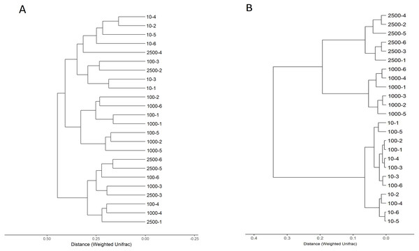 Hierarchical clustering of bacterial (A) and archaeal (B) communities assessed using weighted UniFrac metric analysis of OTUs at 97% similarity.