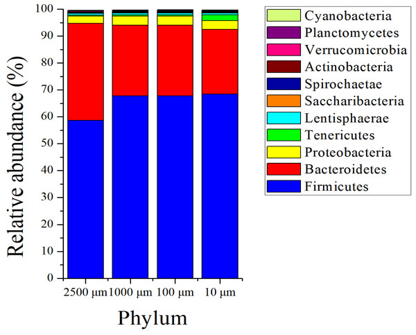 Phylum level composition of bacteria.
