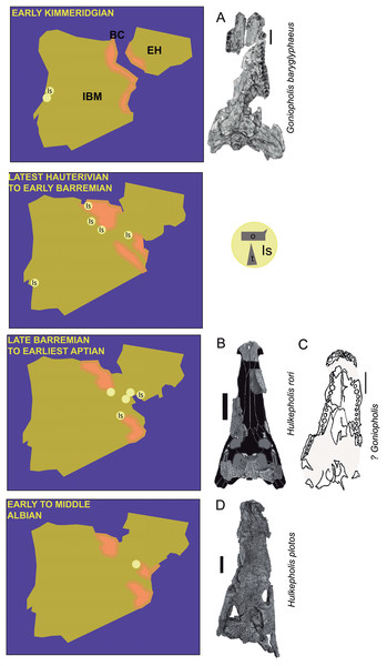 Paleogeographic maps of the Iberia Peninsula and Goniopholididae fossil record.