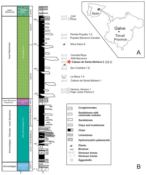 Location and geology of the studied area.