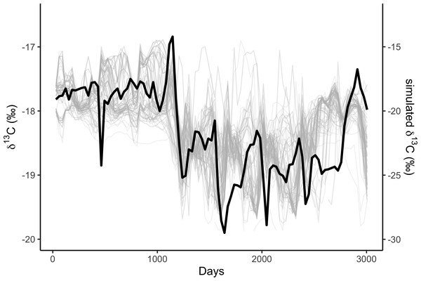 Correlations among simulated δ13C from the top 10% best fitting migratory movement models (grey lines, right hand y-axis) and δ13C from baleen (black line, left hand y-axis; see Fig. 2).