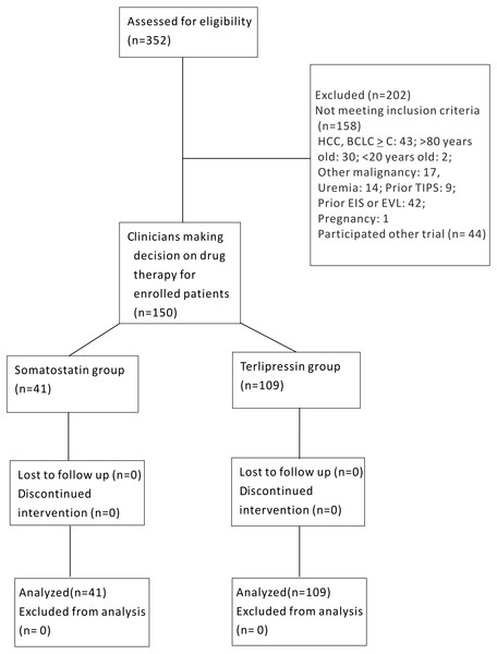  Schematic flow chart of enrollment for somatostatin and terlipressin groups in acute esophageal variceal bleeding patients.