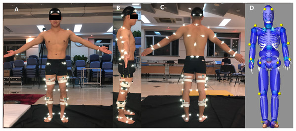 Location of retro-reflective markers and EMG sensors on the gymnasts (A–C), 19 segments human model generated by GEBOD in LifeMOD™ (D).