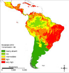 Vector distribution and transmission risk of the Zika virus in South ...