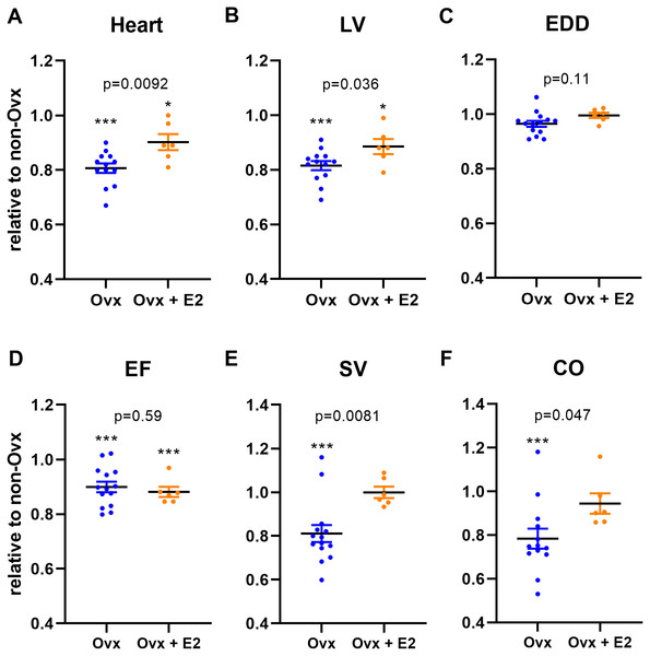 Ovariectomy (Ovx) slows normal heart growth in Wistar female rats and E2 treatment partially reverses this effect.