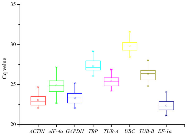  The distribution of Cq values of eight candidate reference genes in all samples from the RT-qPCR assay.