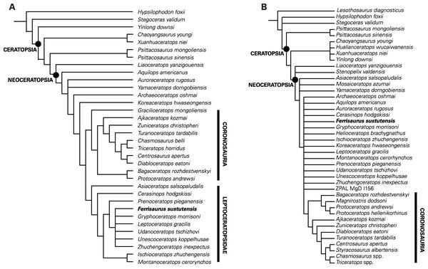 Results of the phylogenetic analyses.
