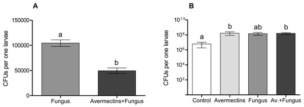 Colony forming units of M. robertsii (A) and cultivable bacteria (B) in whole-body homogenates of Ae. aegypti larvae after treatment with M. robertsii, avermectins and their combination.