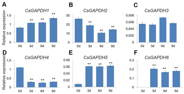 Expression of CsGAPDH genes during seed germination of sweet orange.