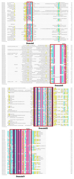 Amino acid sequence alignment and domain analysis of MdIAA family proteins.