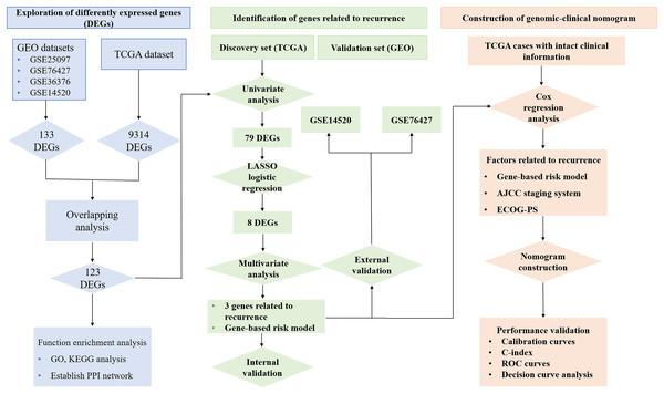 Workflow of exploring RRGs and establishing genomic-clinical nomogram.