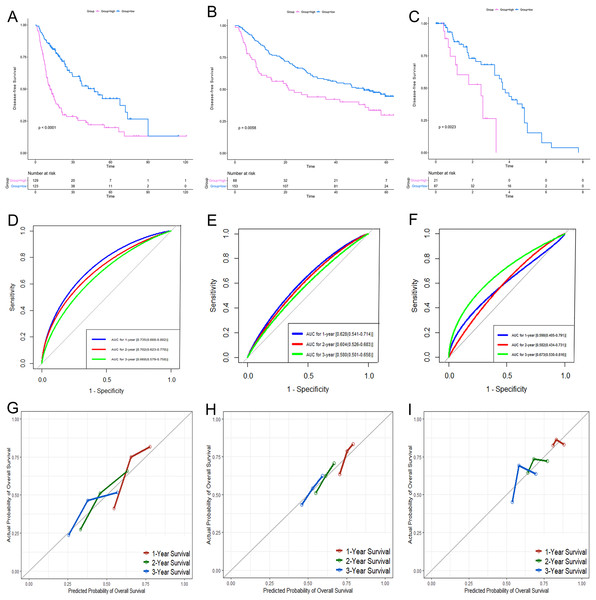 Performance of the gene-based risk model in TCGA, GSE14520 and GSE76427 datasets.