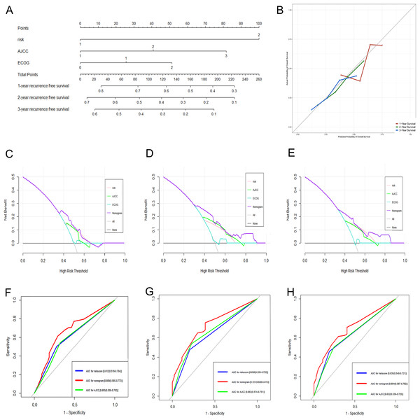 Performance of the genomic-clinical nomogram in predicting postoperative recurrence in TCGA dataset.
