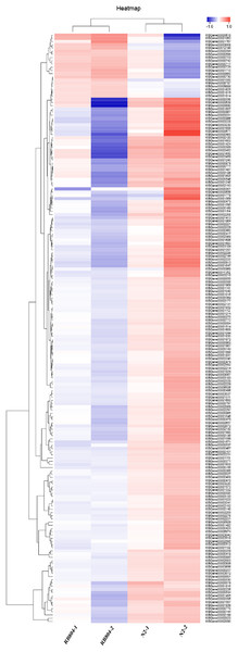 Hierarchical clustering of differential expression genes (DEGs) between N2 groups and RB804 groups.