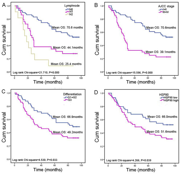 Kaplan–Meier survival analysis in subsets of CRC patients.
