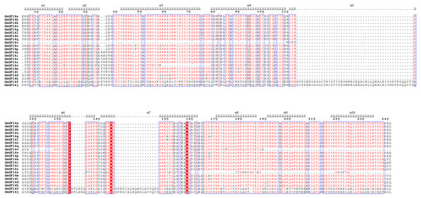  Multiple sequence alignment of all 14-3-3 proteins from soybean.