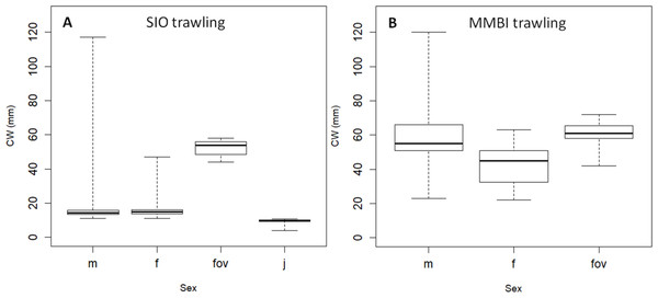 Box plots of carapace width (CW) distribution of Chionoecetes opilio of different sexes.