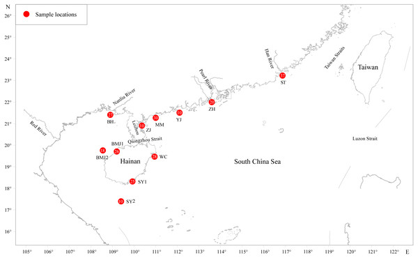 Sampling localities for D.maruadsi in the northern South China Sea.