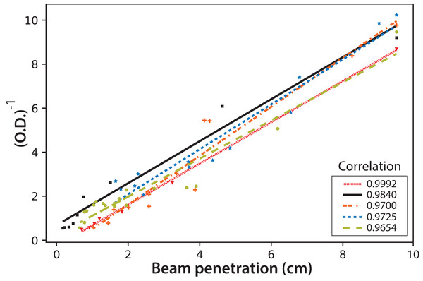 The inverse of microalgae culture optical density (OD) as a function of the fluorescent beam penetration in the PBR.