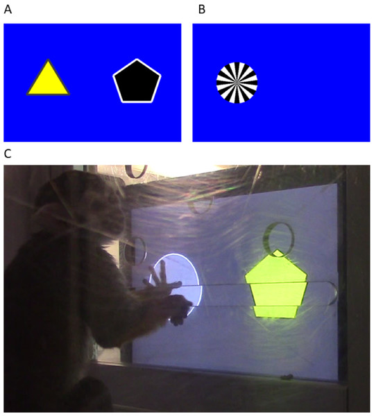 Touchscreen example problem and apparatus setup.