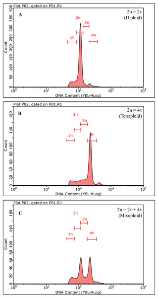 Identification of polyploid Bacopa monnieri using flow cytometry.