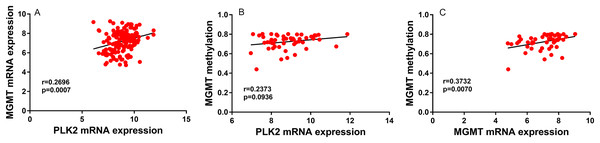 PLK2 expression may not be associated with MGMT methylation in GBM.