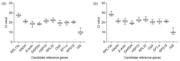 Expression profiles of 10 candidate reference genes in the methoprene bioassay of C. formosanus.