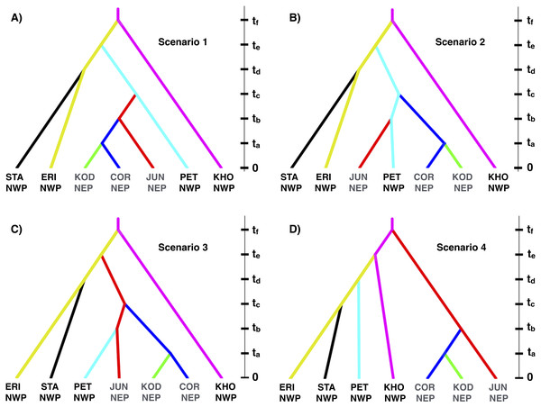 Four biogeographic scenarios evaluated with ABC modeling.