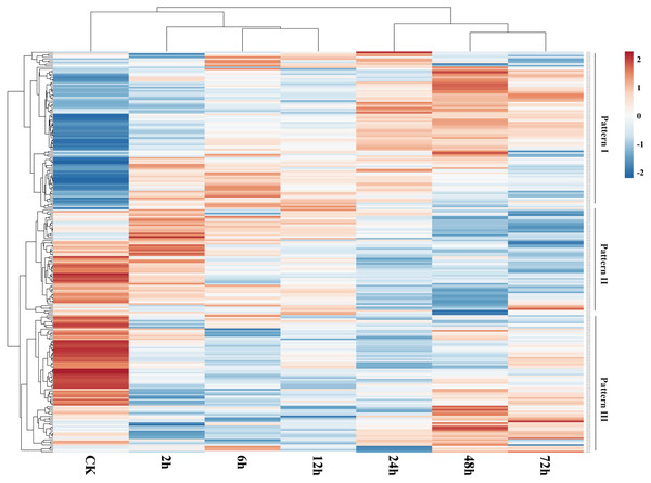 Expression profiles of GbNAC genes in roots under Verticillium wilt infection.