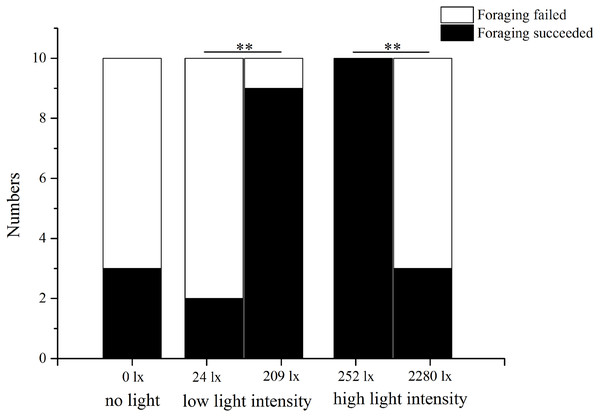 Number of foraging Strongylocentrotus intermedius in no light, low light intensity and high light intensity (N = 10, mean ± SD).