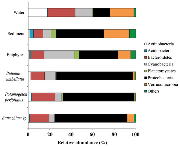 The associated microbiota of environmental compartments at phylum level in Teletskoye Lake.