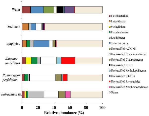 The associated microbiota of environmental compartments at the genus level in Teletskoye Lake.