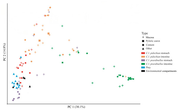 Principle coordinates analysis (PCoA) for microbiota associated with gut of fish (mucosa and content), prey and environmental compartments (water, sediments, and plants).