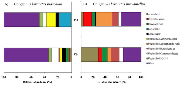 Composition of microbiota at the genus level in stomach mucosa of C. l. pidschian (A) and C. l. pravdinellus (B).