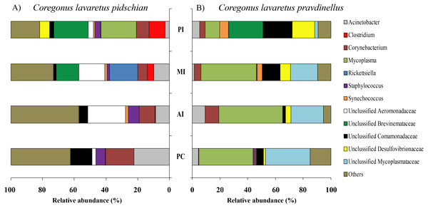 Composition of microbiota at the genus level in intestinal mucosa of C. l. pidschian (A) and C. l. pravdinellus (B).