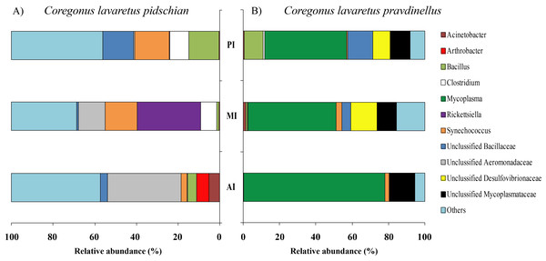 Composition of microbiota at the genus level in intestinal content of C. l. pidschian (A) and C. l. pravdinellus (B).