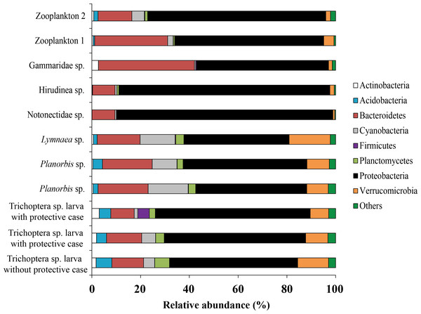 The associated microbiota of fish prey at phylum level in Teletskoye Lake.