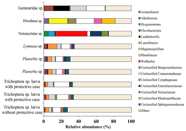 The associated microbiota of fish prey (without zooplanktons) at the genus level in Teletskoye Lake.