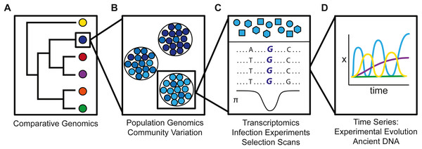 Genomics Of Host-pathogen Interactions: Challenges And Opportunities ...